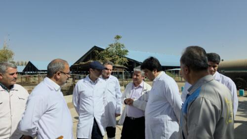 IMG_20250827_232921_152