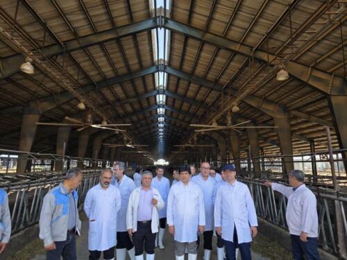 IMG_20250827_232923_221