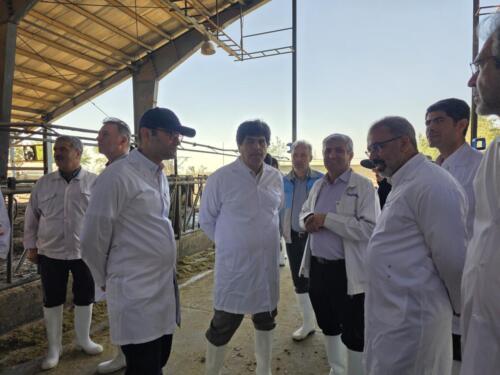 IMG_20250827_232924_908